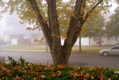 Fogged in fall morning in Merrick