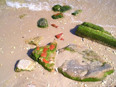 An array of stuff at the beach