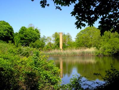 A secret pond on Shelter Island