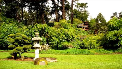 Golden Gate Park