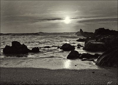 IMG_8092_4.jpg