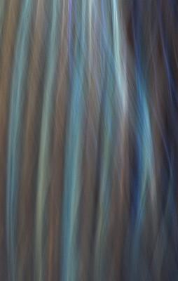03CRW_4243_1A.jpg