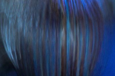 03CRW_4259_1A_1A.jpg