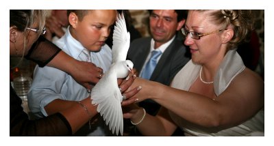 Mariage de Stef et jef