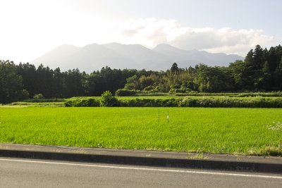 Nasu rice field