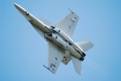 D200hornet8.jpg