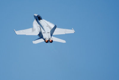 D200hornet9.jpg