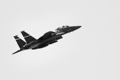 eagle2.jpg
