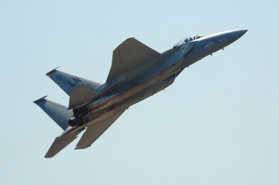 eagle3.jpg