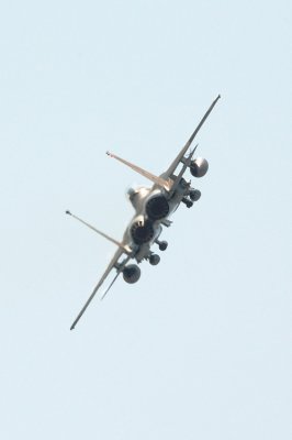 g4/74/500174/3/63786788.likHMK8z.jpg