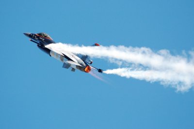 falcon1.jpg
