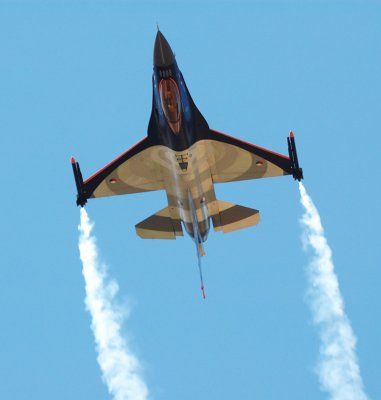 falcon2.jpg