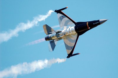 falcon3.jpg
