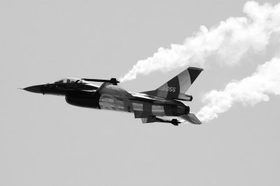 falcon4.jpg