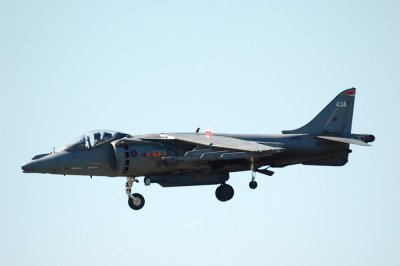 harrier2.jpg