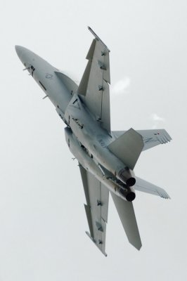 hornet1.jpg