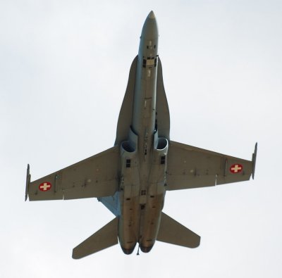 hornet4.jpg
