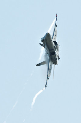 hornet9.jpg