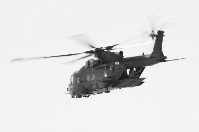 merlin1.jpg