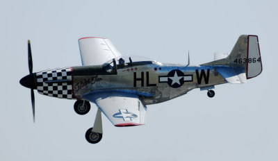 mustang1.jpg