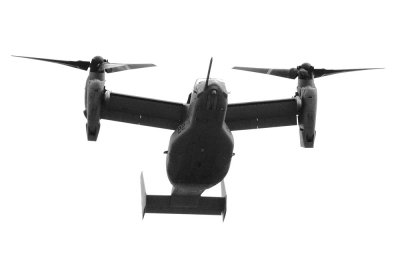 osprey1.jpg