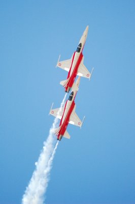 swiss6.jpg