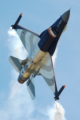 falconD.jpg