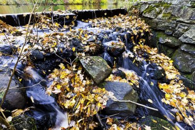 Fall at the Falls