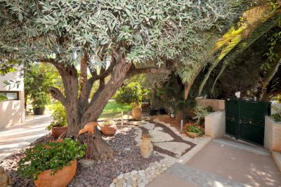 Entrance and Garden