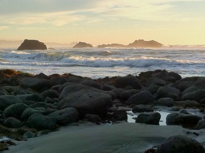 Beach Pictures 159_resize.jpg