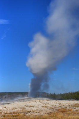 DSC_5966a_resize.jpg