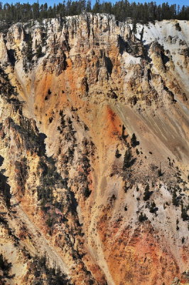 DSC_6004b_resize.jpg