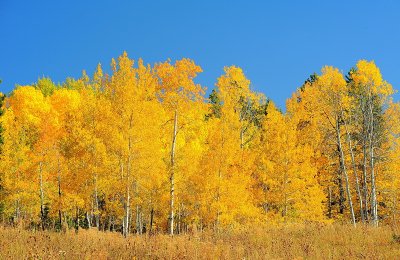 DSC_6273_resize.jpg