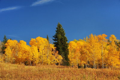 yellowstone_fall_2010