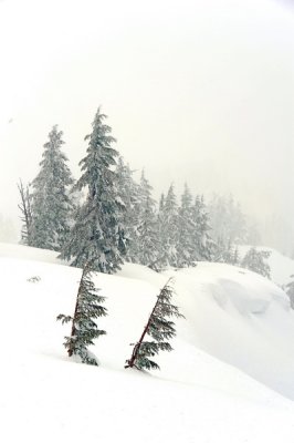 DSC_1170_resize.jpg