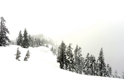 DSC_1178_resize.jpg