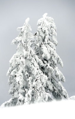 DSC_1181_resize.jpg