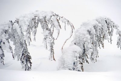 DSC_1164_resize.jpg