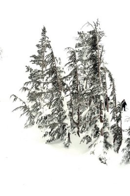 DSC_1177_resize.jpg