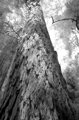 DSC_4626_resize.jpg