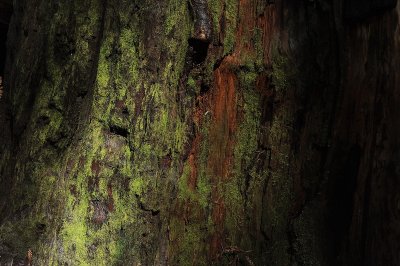 DSC_1314_resize.jpg