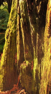 DSC_1329b_resize.jpg
