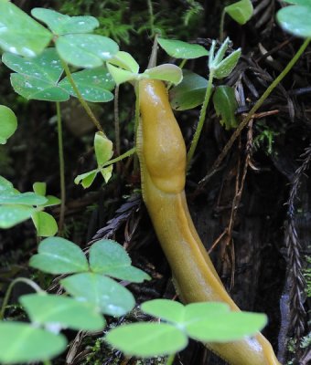 DSC_1334_resize.jpg