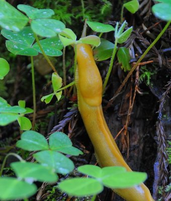 DSC_1334b_resize.jpg