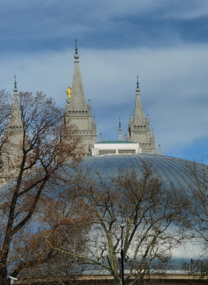 DSC_2200a_resize.jpg