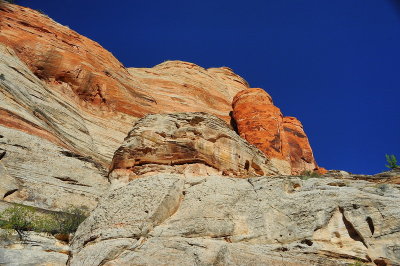DSC_2320_resize.jpg