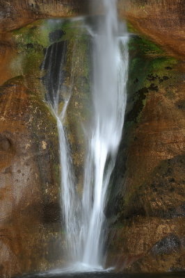 DSC_2354_resize.jpg