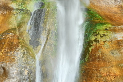 DSC_2363_resize.jpg