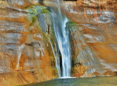 DSC_2371_resize.jpg