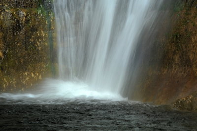 DSC_2364_resize.jpg